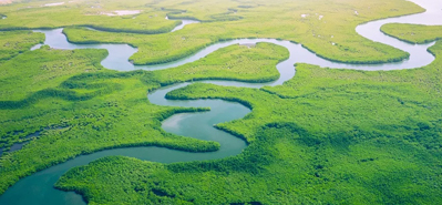 ปฏิวัติการชลประทานการเกษตร: บทบาทของท่อพีวีซีและอุปกรณ์
